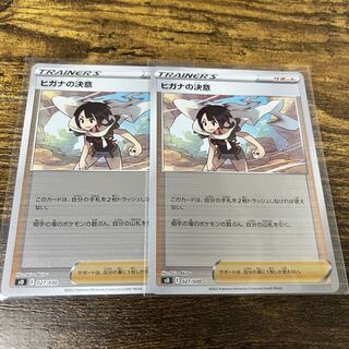 Zinnia's determination 2 mirrors