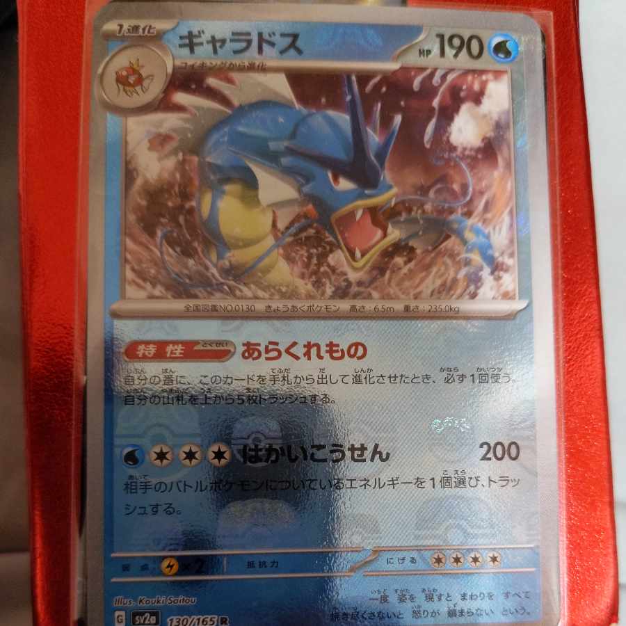 Gyarados (Master Ball pattern/mirror spec.) R 130/165