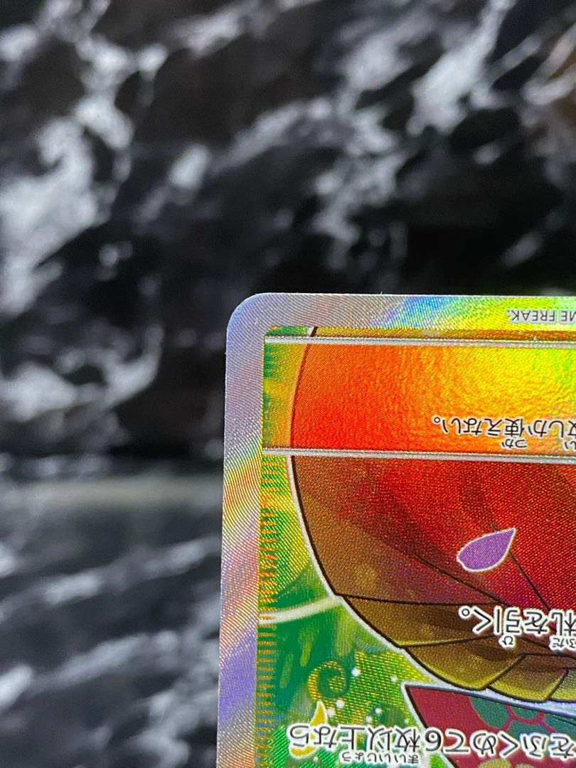 4) Pocketka Erika's Hospitality SR 107/095 Highly appreciated