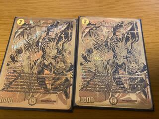 煌龍 サッヴァーク 翌日発送