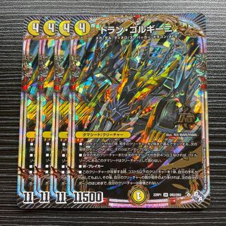 Dolan Gorgini OR OR2/OR2