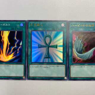 サンダー ボルト ハーピィの羽根帚 死者蘇生 各1枚