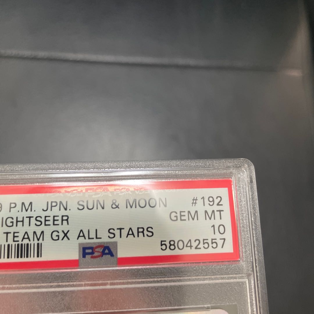PSA10] Sightseer SR 192/173