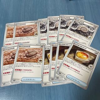 Fossil of old koura C 155/165 Fossil of oceanic fossil Secret Kohaku