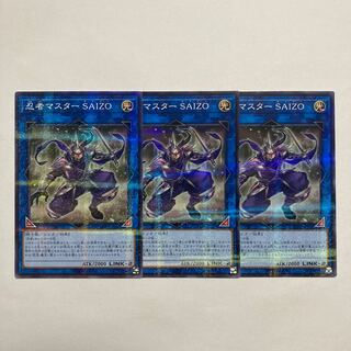 Ninja Grandmaster Saizo parallel normal JP066