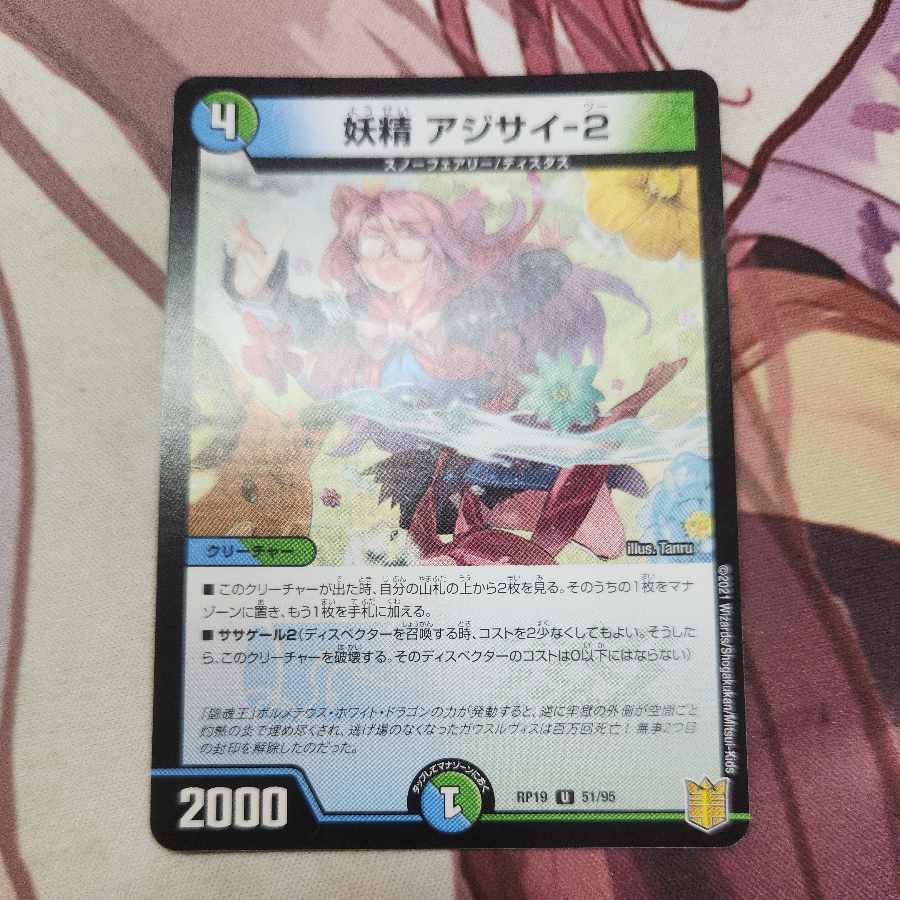 Fairy Hydrangea-2 U 51/95