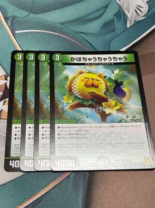 Kabocha Ucha Cha Cha Ucha 4-Piece Set