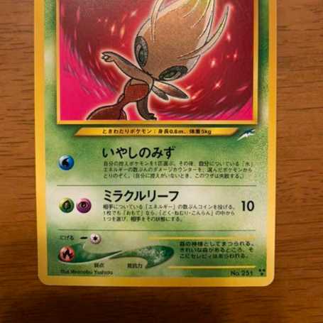 Hikaru Celebi Old Back