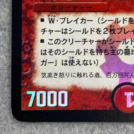 Bolmeteus Steel Dragon SR S8/S10