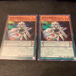 貴竜の魔術師 スーパーレア