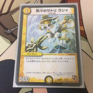 転々のサトリ ラシャ 1枚