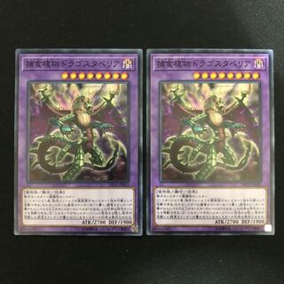 捕食植物ドラゴスタペリア　ノーマル　2枚