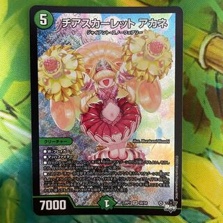 チアスカーレット アカネ SR S8/S8