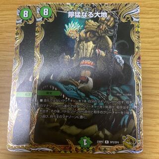 Fierce Earth (Gold Treasure) R-foil SP2/SP4 Set of 2