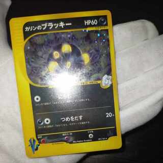 PSA10鑑定済〕カリンのブラッキー(VS)【☆】{091/141}