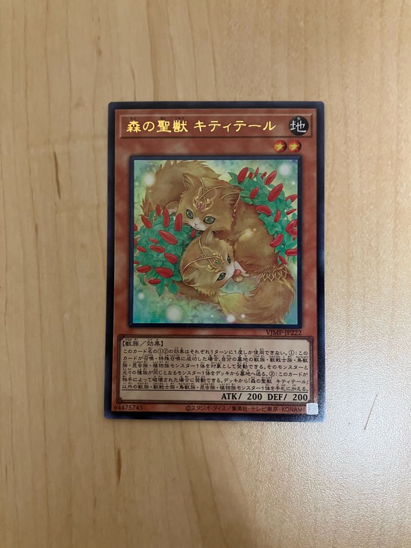 森の聖獣 キティテール