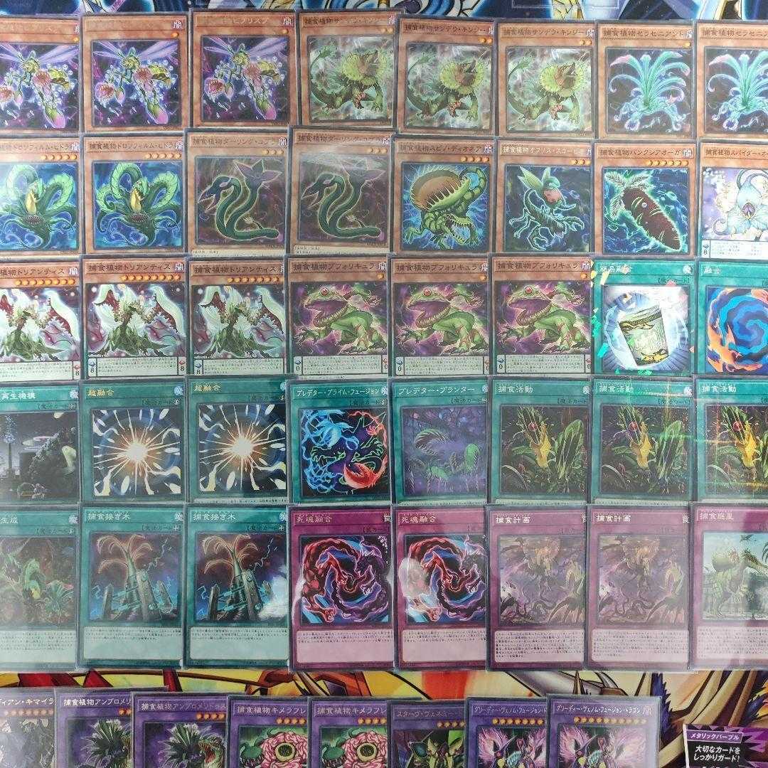 Mountain Store Fast Shipping Prey Upon Plant Deck Constructed Deck Collectible Predapractice Predaplanning Starve Venom Predator Fusion Dragon Predaplant Triphyoverutum Predaplant Dragostapelia