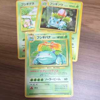 Venusaur with extras
