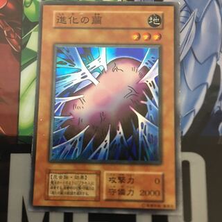 pepperさん専用、進化の繭　初期、偽物の罠3種