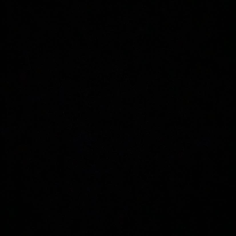 タンタン様専用