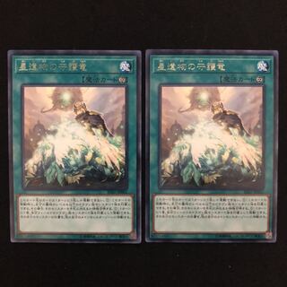星遺物の守護竜　レア　2枚