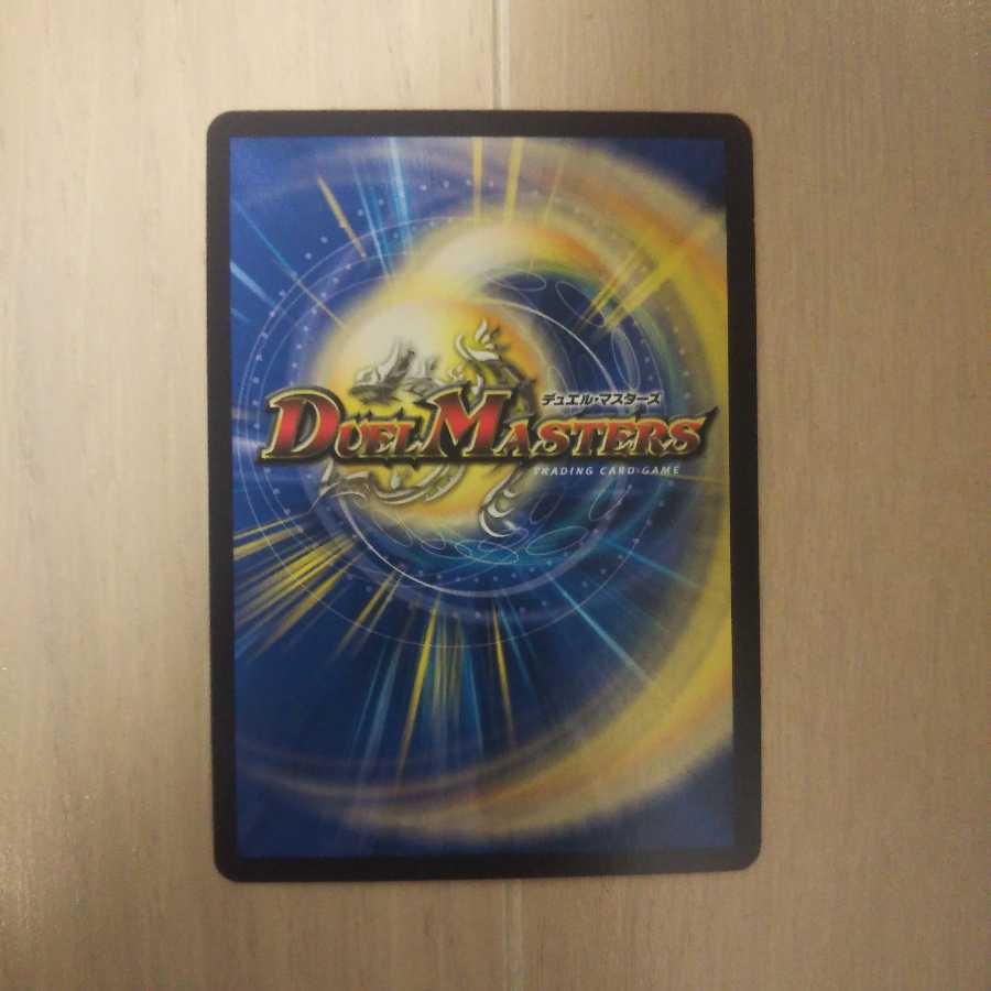 ぺんちゃん様専用