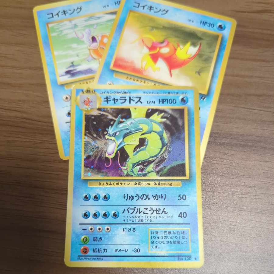 Gyarados with extras