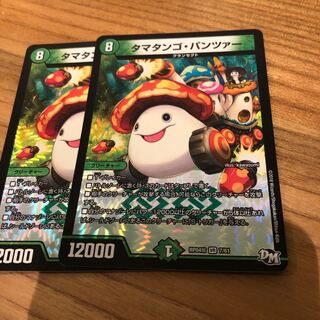 タマタンゴパンツァー2枚