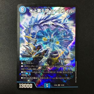 Waterjo Ninth Institute Shakogile SR 18/98