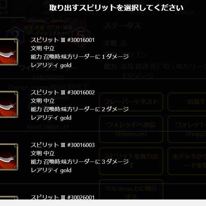 ワイバーンライダーのスピリット