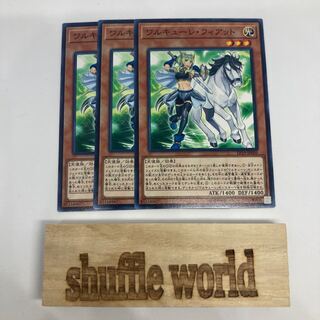 ワルキューレ・フィアット(スパッツ有り) 1275