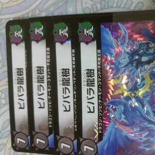 ビバラ龍樹4枚セット