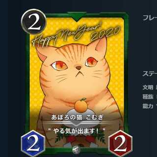 あぽろの猫　こむぎ 1枚