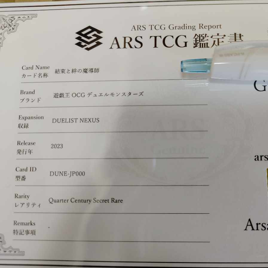 Solidarity and the Bonded Mage QCSE JP000