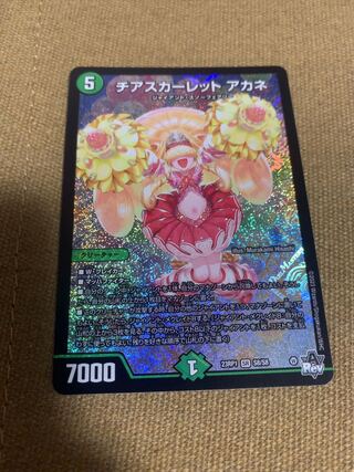 チアスカーレット アカネ SR S8/S8