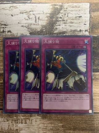 大捕り物 スーパーレア JP050