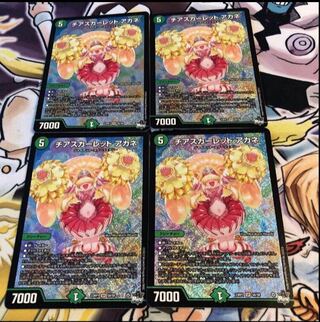 Cheer Scarlet Whitney SR S8/S8