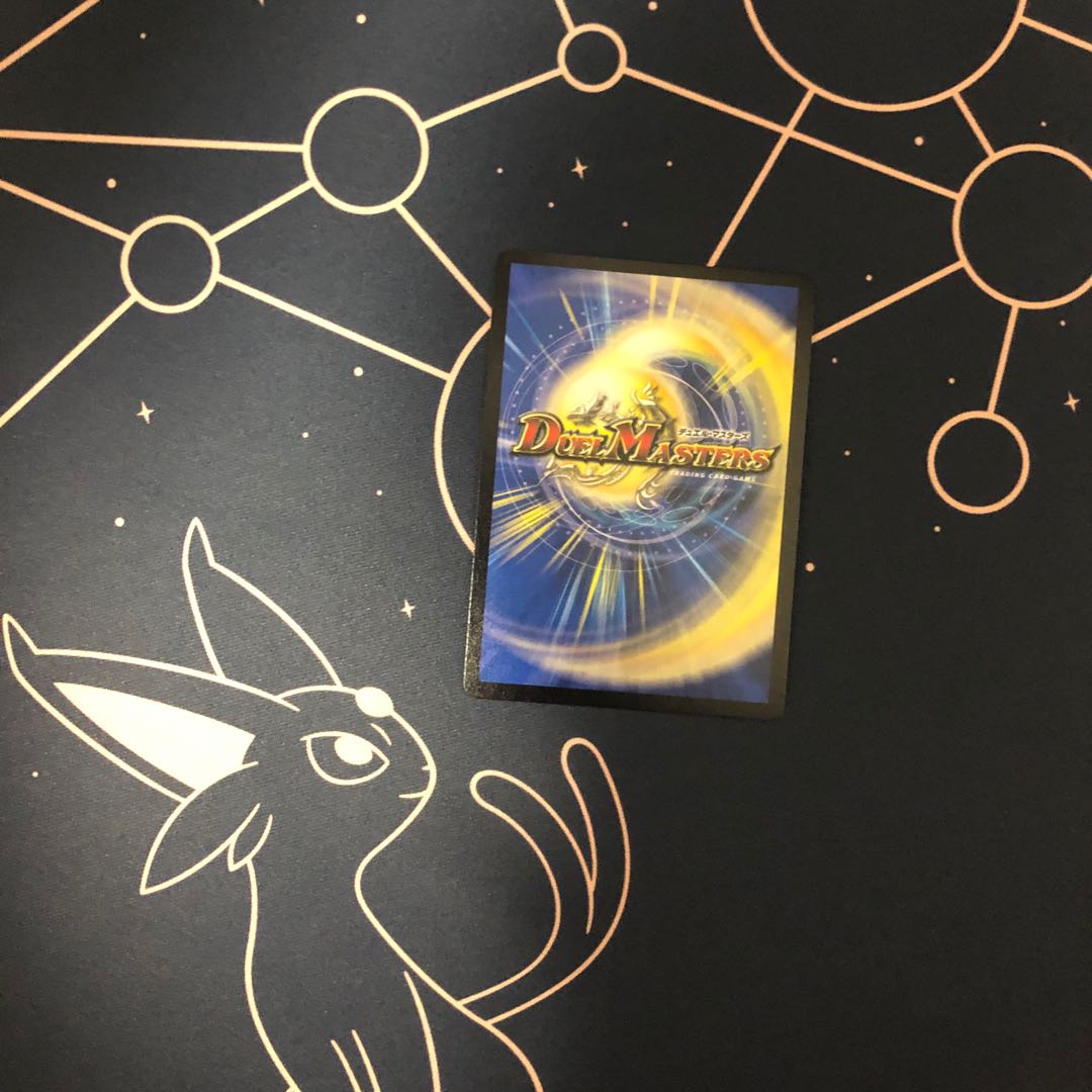 「絶対の楯騎士」 アブソリュート・シールドナイト