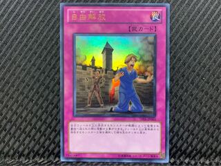 【ぽぽたん】遊戯王 -888 自由解放 ウルトラ