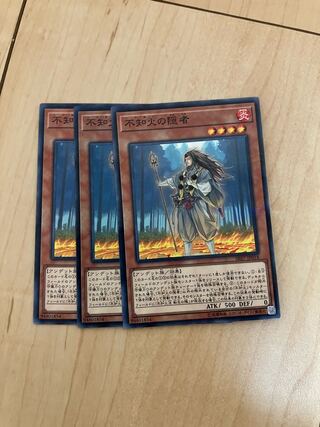 Shiranui Solitaire Parallel Normal JP018