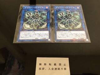 サクリファイスアニマ ノーパラ ２枚 セット