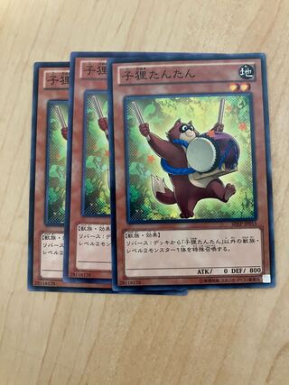 Baby Raccoon Tantan Normal JP015
