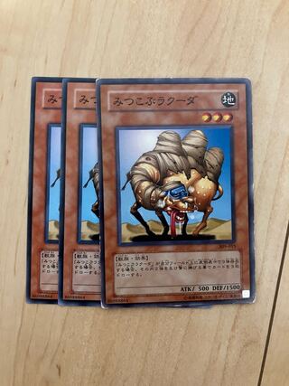 3-Hump Lacooda Normal JP183