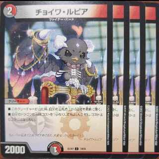 dhp set discount Choiwa Lupia C 74/75