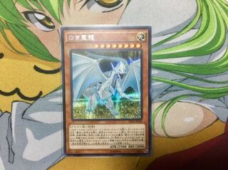 【遊戯王】 白き霊龍 シークレットレア