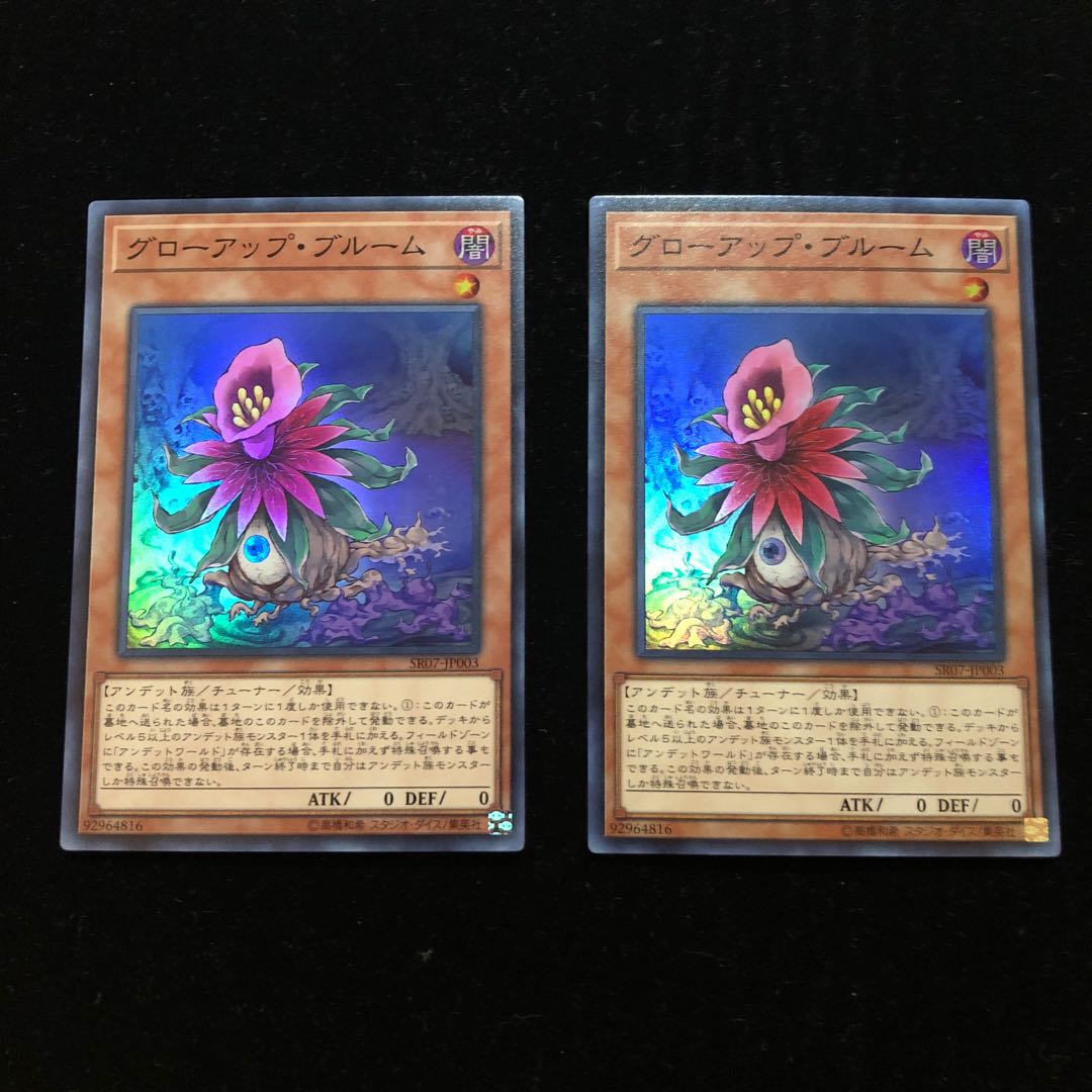 遊戯王 グローアップ・ブルーム SR