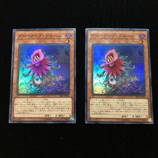 遊戯王 グローアップ・ブルーム SR