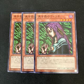 Witch of the Black Forest Normal 3