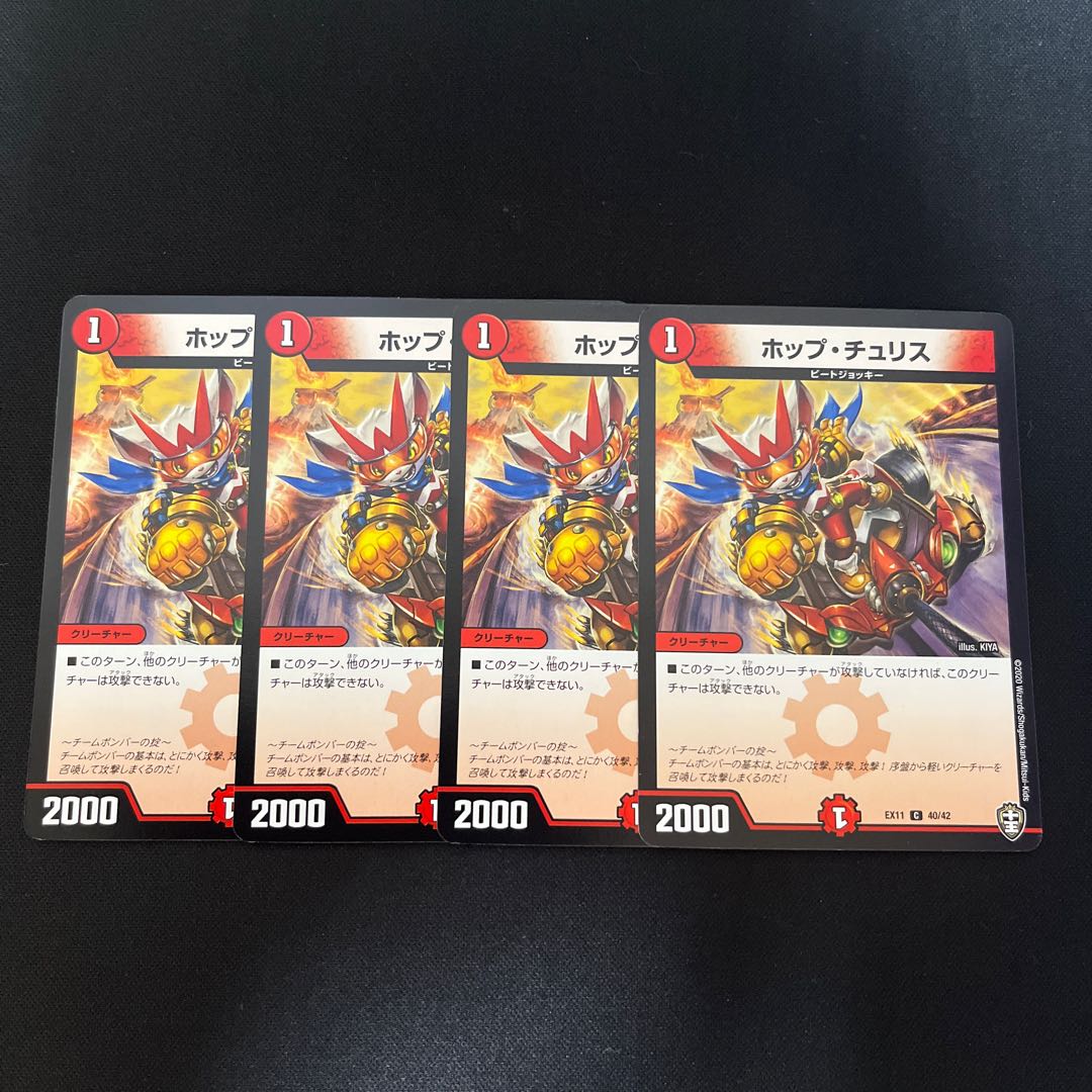 Hop Chu Squirrel C 40/42