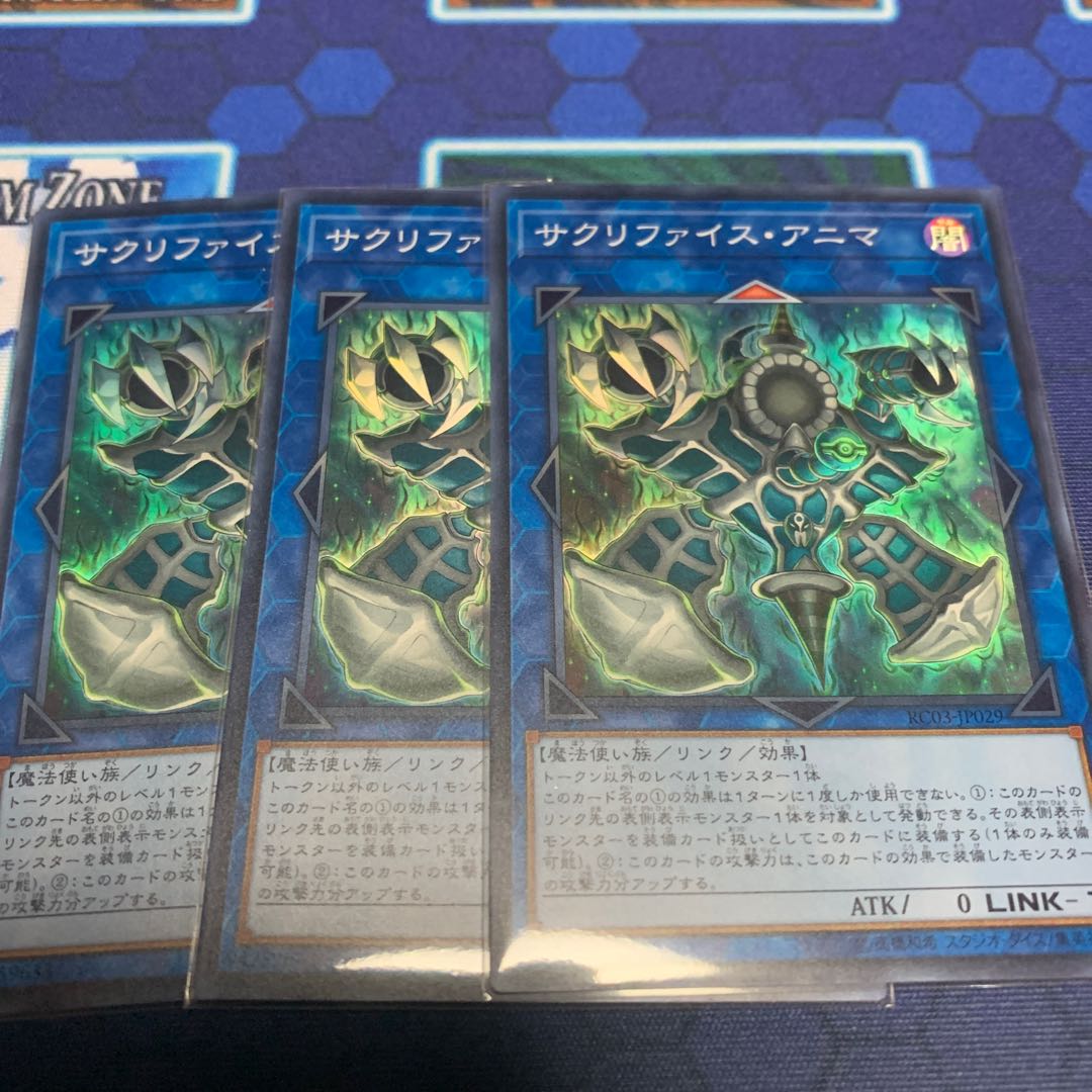 サクリファイス・アニマ